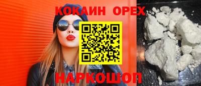 молекула духа Камышлов
