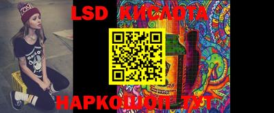 молекула духа Камышлов