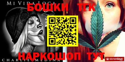 молекула духа Камышлов